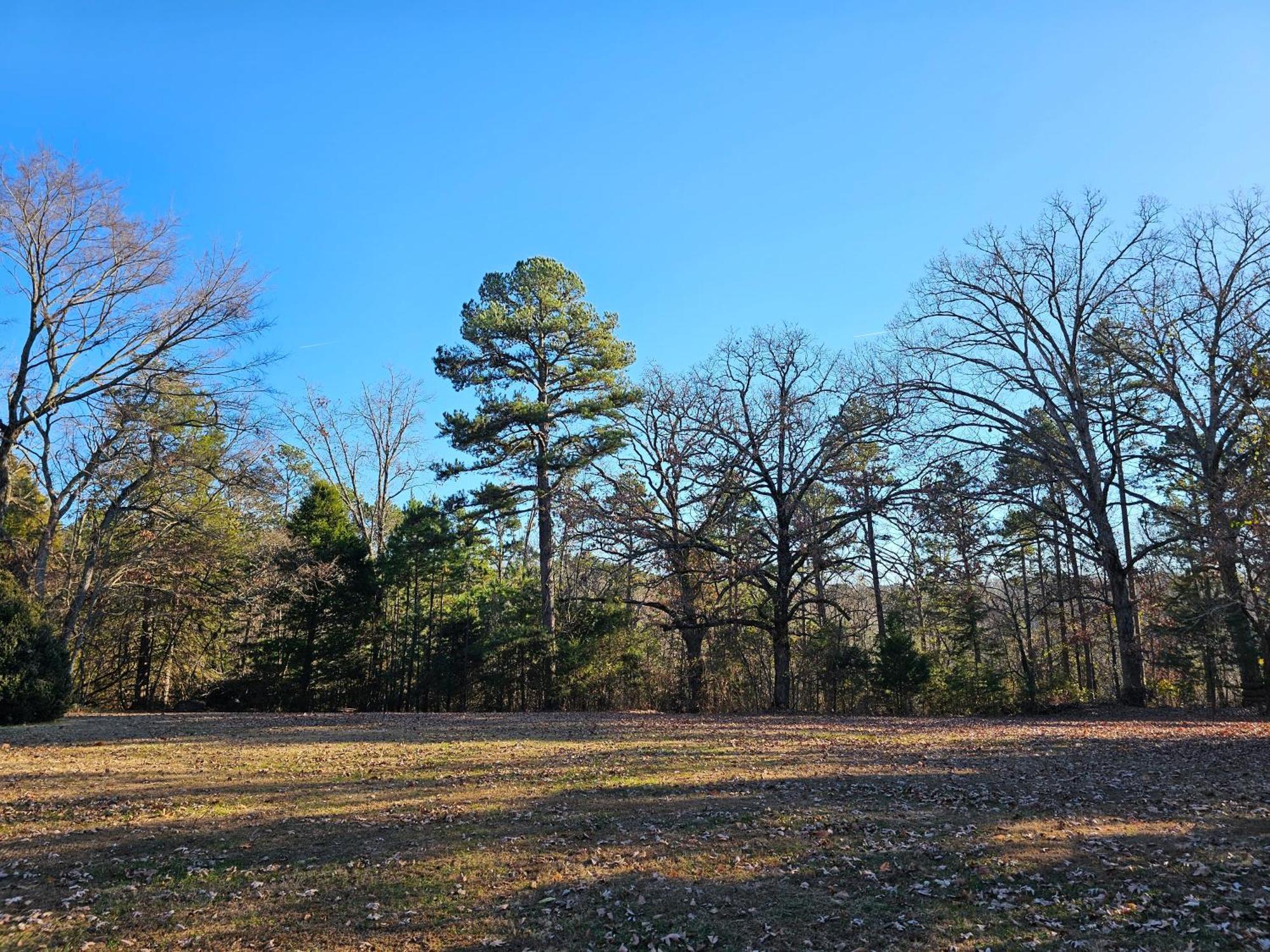 5 Min To Beaver Lake-King Bed-Fire Pit-Jetted Tub #2 Eureka Springs Bagian luar foto