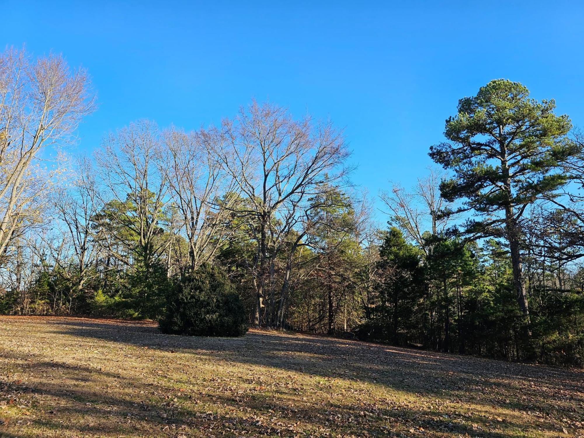 5 Min To Beaver Lake-King Bed-Fire Pit-Jetted Tub #2 Eureka Springs Bagian luar foto
